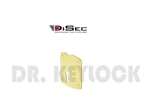 Bocchetta placchetta placca - placchetta,